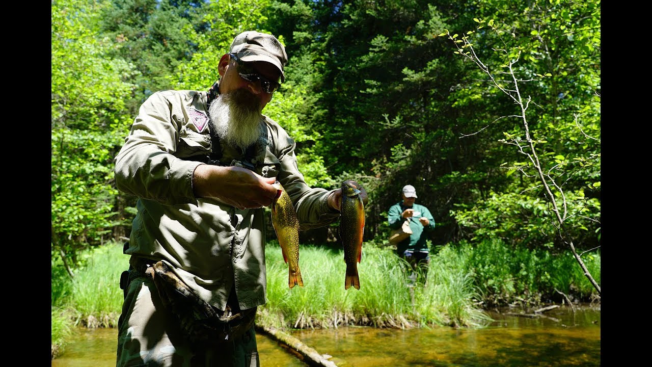 How to Catch Brook Trout (CATCH/COOK/CLEAN) - YouTube