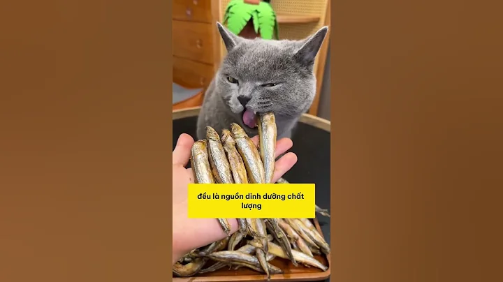 Món cá giòn tan khiến mèo mê tít, lông mượt như nhung #shopthucung #fyp #pet #cat #dog #cute