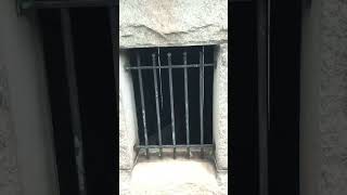 Old Family Mausoleum with broken Vault #cemetery #shorts #forgotten