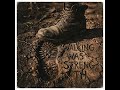 Walking was strength by Derrick Key