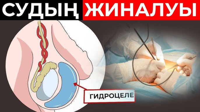 Оның мүшесін соратын бейне