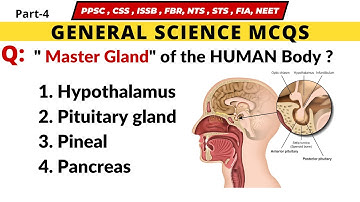 General Science Important Questions for Junior Clerk | Bps 5 to15 Jobs Preparation | Junior Clerk