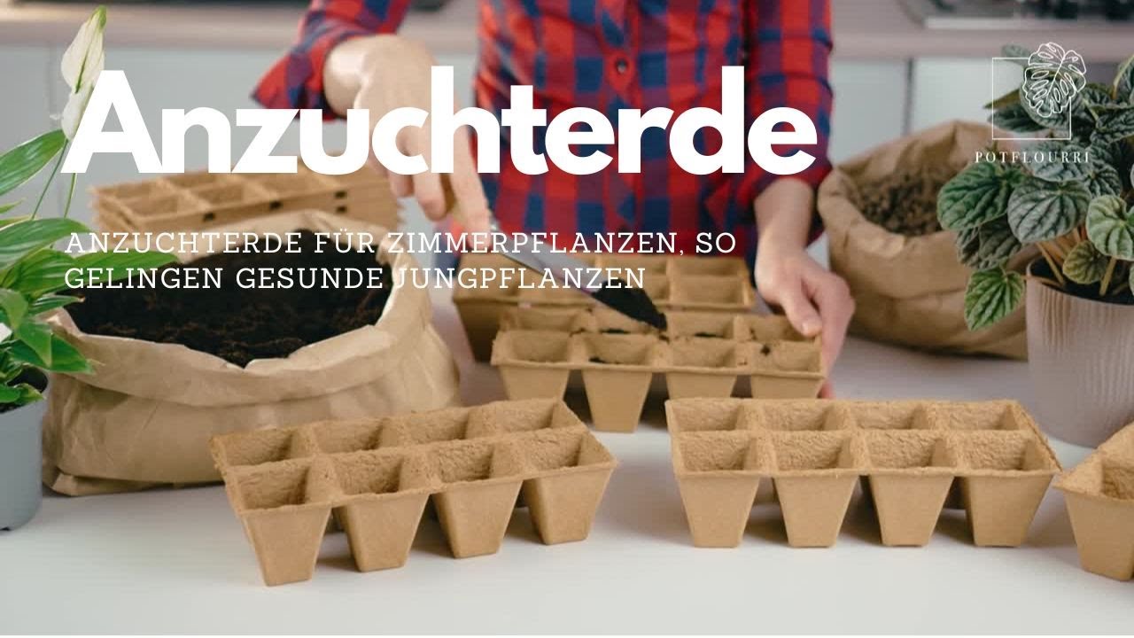 Anzuchterde fr Zimmerpflanzen  | So gelingen gesunde Jungpflanzen! |  potflourri