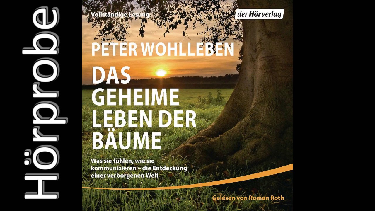 Wohlleben Das Geheime Leben Der Bäume Wohlleben Das Geheime Leben Der Bäume