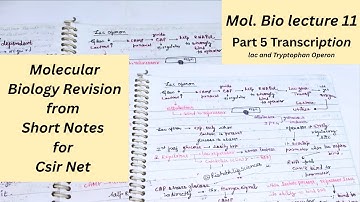 Molecular Biology Revision | Short Notes for CSIR NET, GATE, DBT, ICMR
