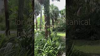 “Strolling Florida’s secret garden 🌿 Stay tuned for more &amp; save with code 9277839463!” #southern