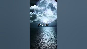 واتس اب قران كريم القارئ ياسر دوسري (سوره القيامه)