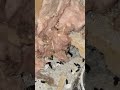 Rat Entry Through Foundation Gaps – Structural Sealing (North York)