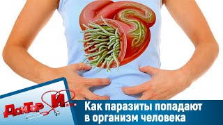 Как паразиты попадают в организм человека. 