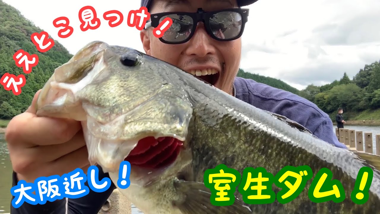 関西バス釣りスポット 室生ダム 大阪からスグ Youtube