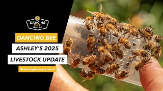 Dancing Bee Livestock Update with Ashley!