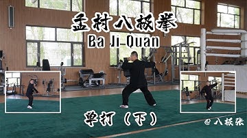 Single Form【Martial Arts/Kung Fu】Baji Quan Tutorial Session 7 Dan Da: 八极拳教学 单式演练2