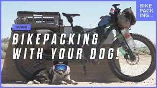 Bikepacking With Your Dog: Dogpacking