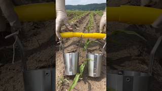Revolutionizing Agriculture: The Future of Modern Farming #agriculture #modernfarming