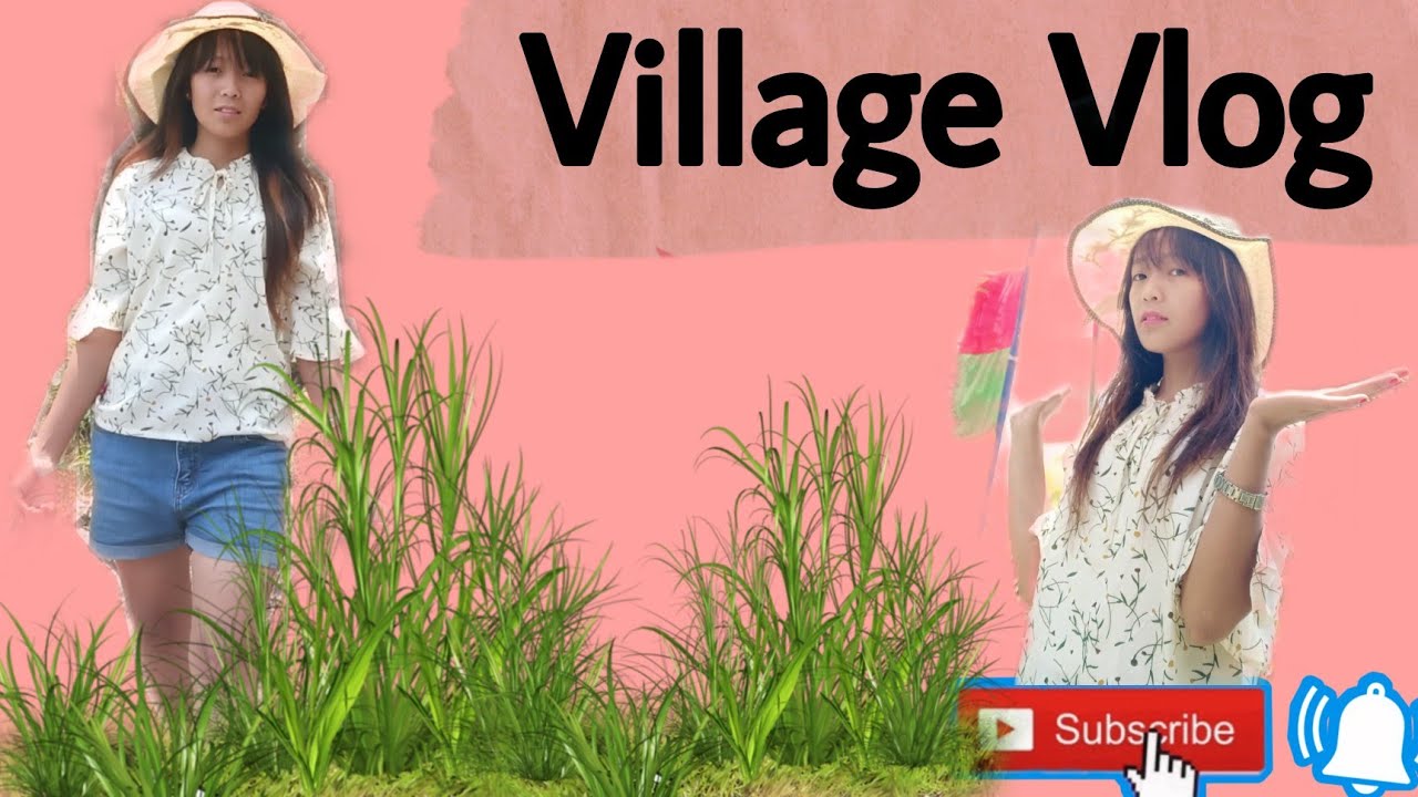 Sikkim himalayan paddy field🌾🌾   Sungtuk Kyong(Village)Marchak Ranipool  | village Vlog.