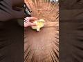 this baby duck is insane #cute #wholesome #duck #horse