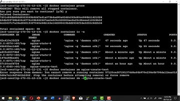 Docker Container different state demo - Video 11