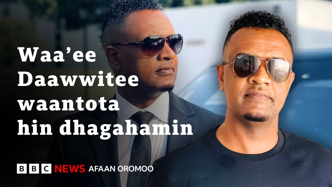 'Naa guutuu dideeti malee ani hoolaa hatee biyyaa hin baane' - Daawwitee | BBC News Afaan Oromoo