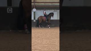 Ad ref 258476   Video 2