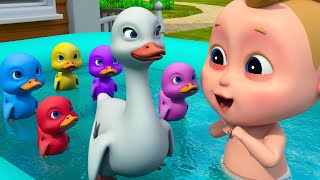 Five Little Ducks on the Bath Song | +More Kindergarten Nursery Rhymes & Kids Songs Compilation