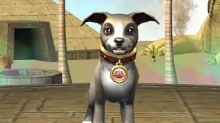 Stop Grinding Pet Games Unlock Skip Game FAST Wizard101