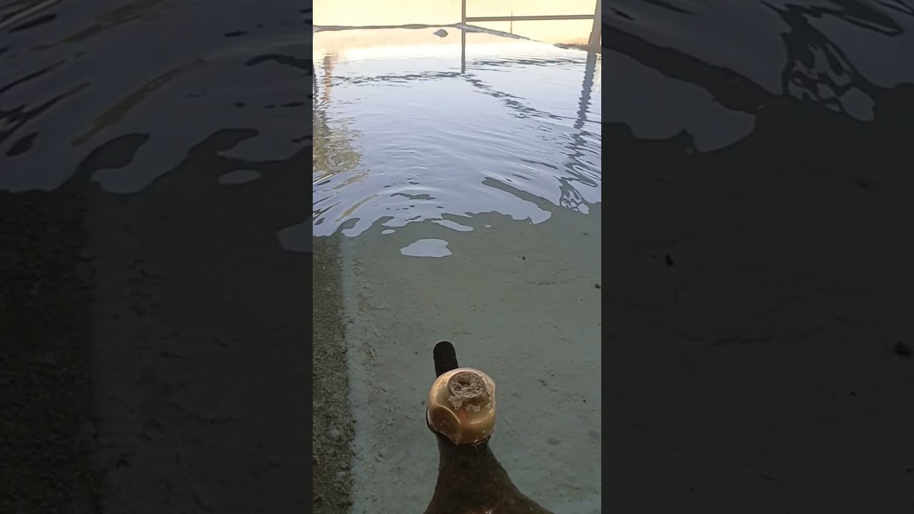 Crystal Clear Water for Drinking. 