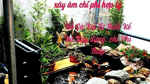 Hồ Cá Koi Thiết Kế Âm Đất Chi Phí Khá Hợp Lý - Hồ Đẹp - Nước Trong - Cá Khỏe.Hồ Anh Xuân Ở Vĩnh Phúc