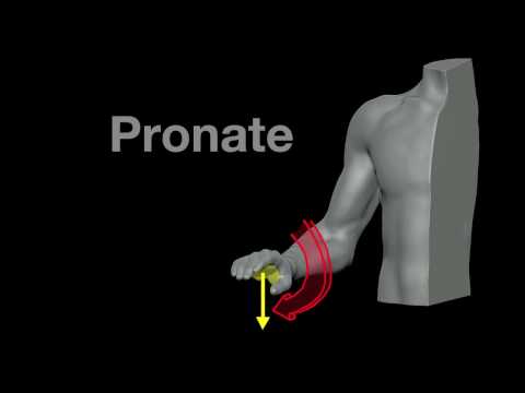 Video: Verschil Tussen Pronatie En Supinatie