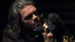Shaun Ellis, A Man Among Wolves