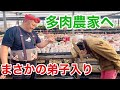 【多肉植物って実は】人気多肉農家の裏側を晒します　　　    【カーメン君】【ガーデニング】【初心者】