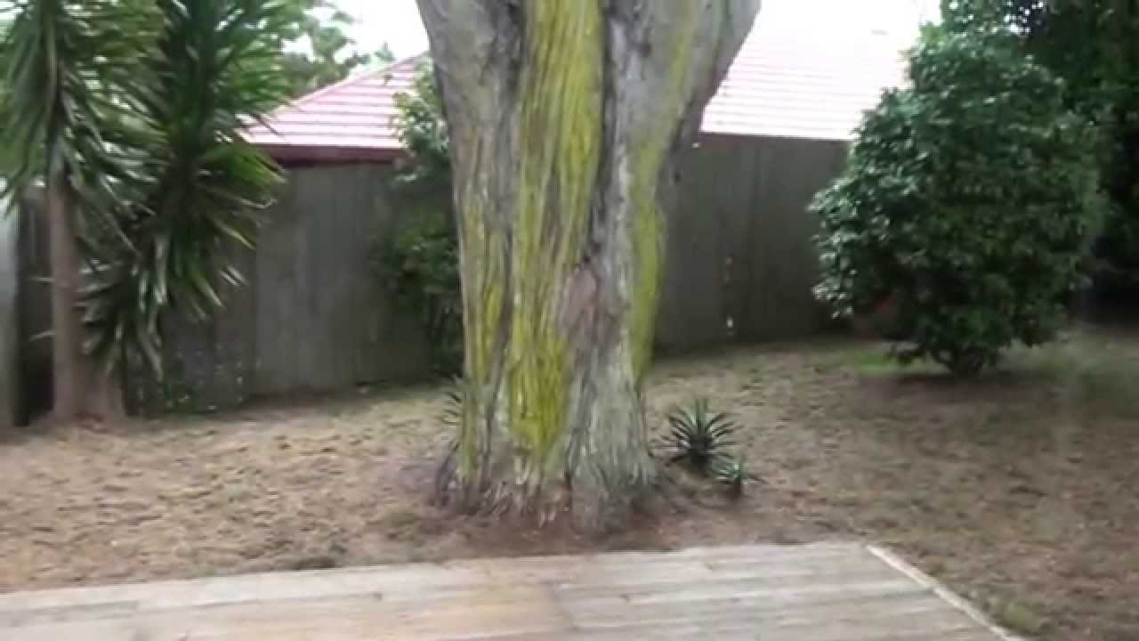 Auckland Houses for Rent 15b Arthur Rd, Hill Park Manurewa YouTube