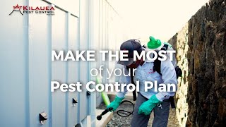 5 Tips to Get the Most Out of Your Pest Control Service