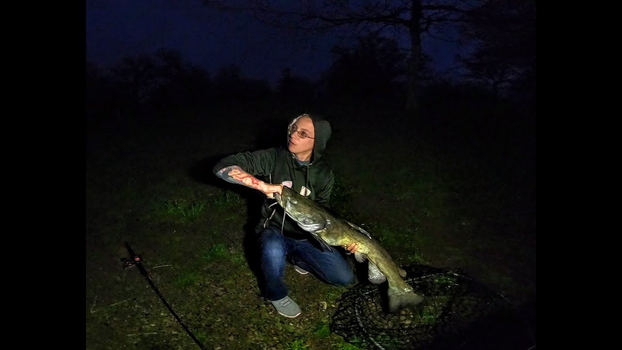Catfishing TipsHow to Properly\Safely Handle Big Catfish YouTube