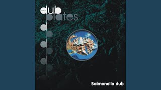 Miniatura del video "Salmonella Dub - Love Your Ways"