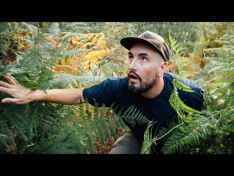 I’m Turning This Overgrown 2.5 Acre Abandoned Property Into A Thriving Homestead