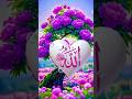 Islamic dpz collection ❤️ ||Allah Muhammad name dp images for WhatsApp #allah #love