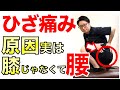 【膝の痛み】長年の良くならない原因！実は腰だったんです！