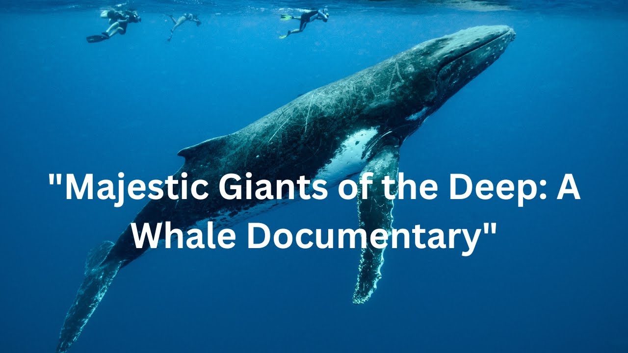 "Majestic Giants of the Deep: A Whale Documentary" - YouTube