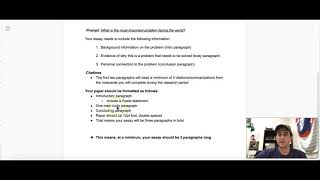Global Issue Essay Introduction