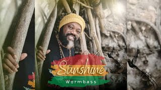 Wormbass - Sunshine (Official Audio) (New Reggae Song 2024) Promo By Ins Rastafari MixMaster