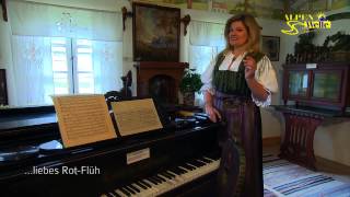 Download Lagu Herlinde Lindner sträumli ALPEN-WELLE VIDEO MP3