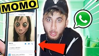 Dont Message Momo On Whatsapp At 3Am This Is Why Momo Called Me On Facetime 3Am