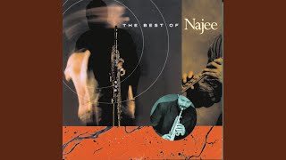 Video thumbnail of "Najee - Have You Ever Loved Somebody"