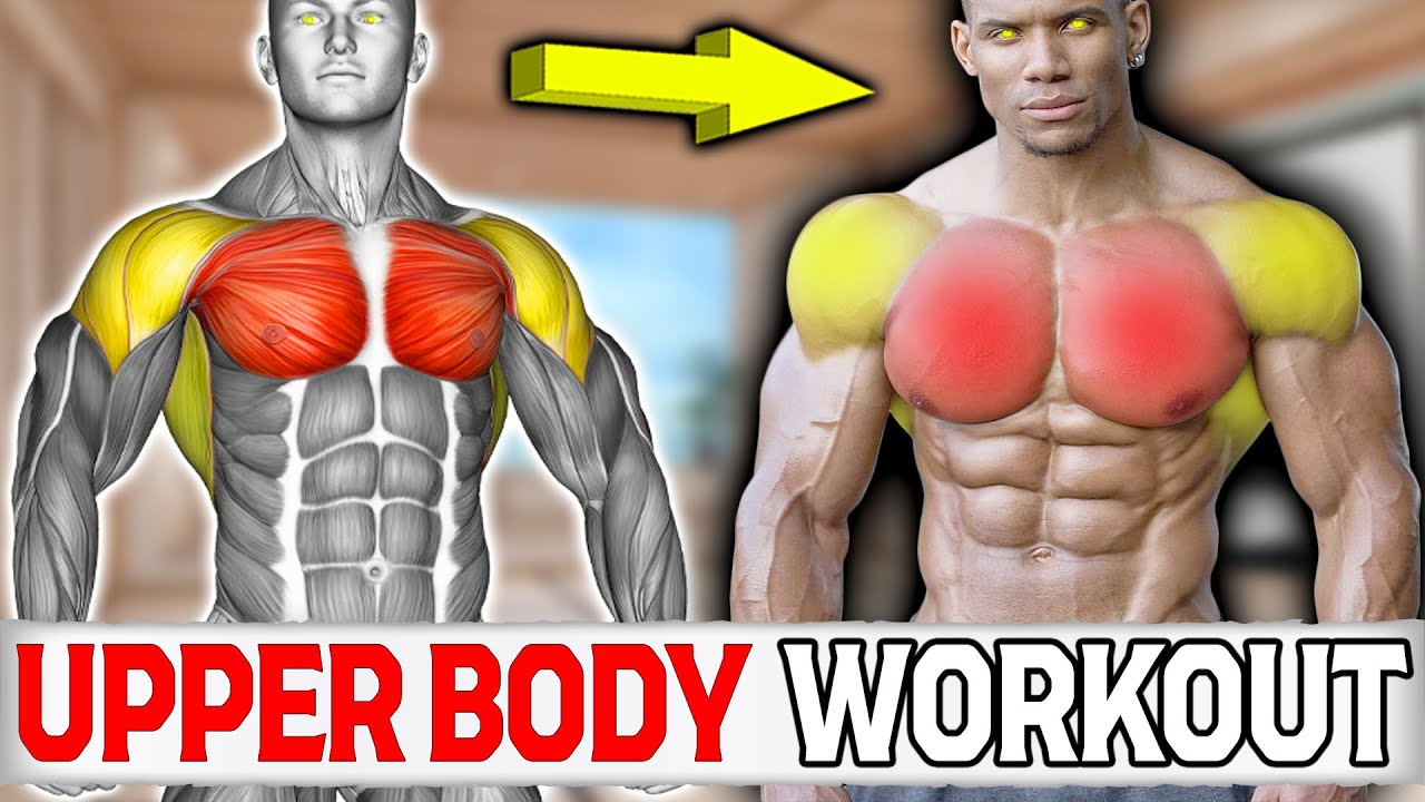 Effective Upper Body Exercises ( Chest, Shoulder and Back ) - YouTube