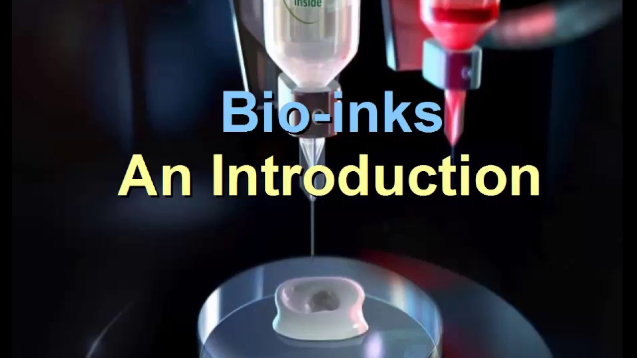 Hydrogel Bioinks in 3D Bioprinting: Key Properties and Types