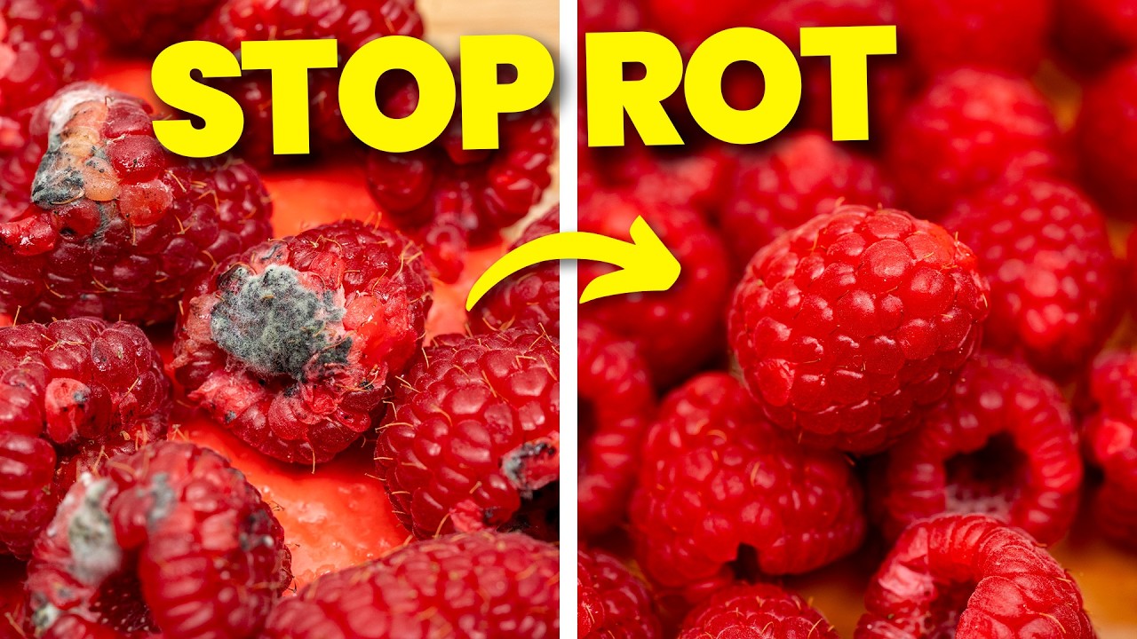 Этот простой трюк позволит сохранить фрукты свежими на несколько дней дольше.