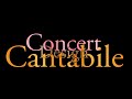 F.リスト/パガニーニによる大練習曲 第3番 嬰ト短調「ラ・カンパネラ」Pf.秋月舞