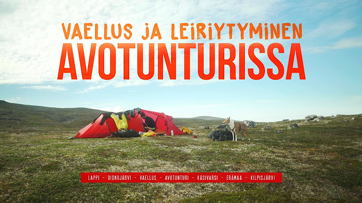 Vaellus vaimon ja koiran kanssa Lapissa - Didnojärvi ja Käsivarren erämaa