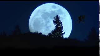 What Movie Is This Scene? Bu Hangi Filim? Filmi Tahmin Et