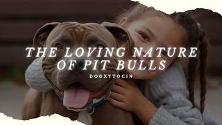 The Pit Bull Stigma: The Real Facts About This Misunderstood Breed by Dogxytocin 1,399 views 11 months ago 6 minutes, 22 seconds